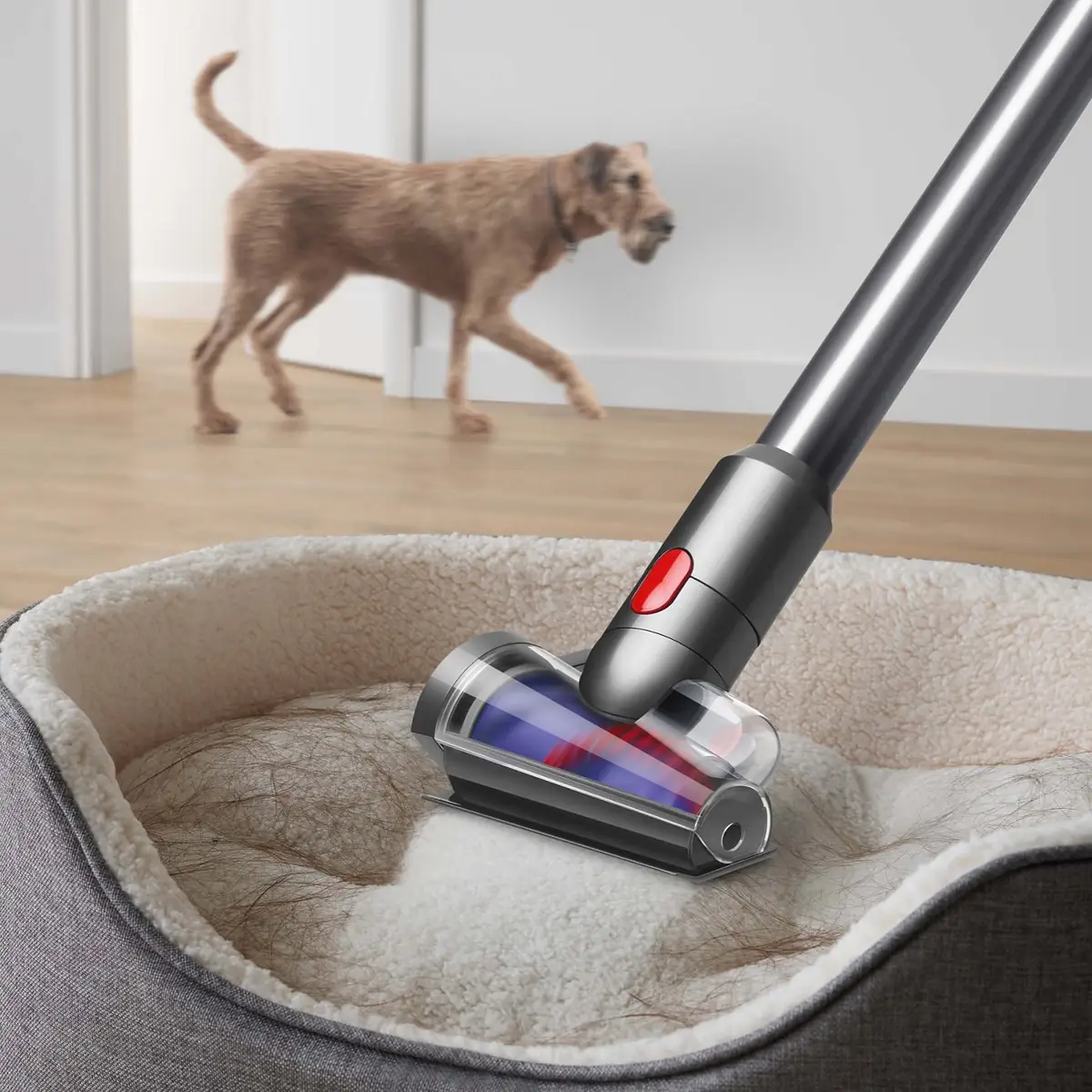 Dyson V8 Absolute aspirapolvere senza filo Argento/Nichel — foto 6